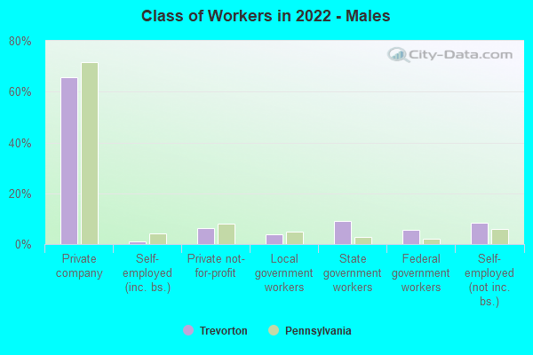 Class of Workers in 2022 - Males