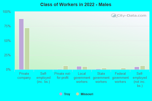 Class of Workers in 2022 - Males