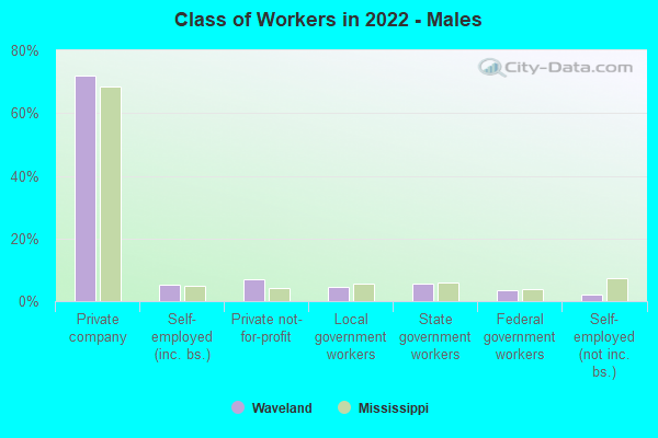 Class of Workers in 2022 - Males