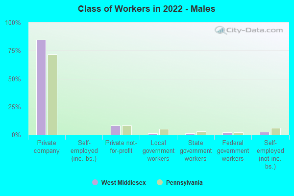 Class of Workers in 2022 - Males