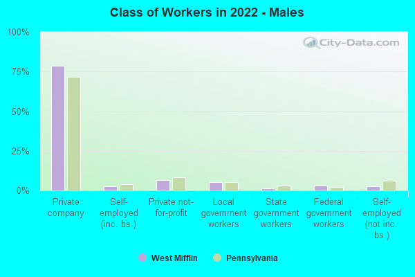 Class of Workers in 2022 - Males