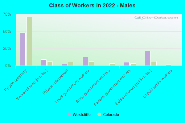 Class of Workers in 2022 - Males