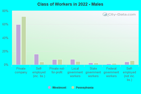 Class of Workers in 2022 - Males