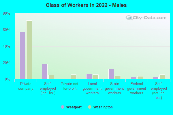 Class of Workers in 2022 - Males