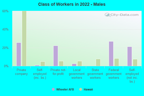 Class of Workers in 2022 - Males