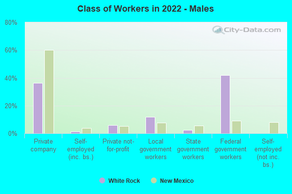 Class of Workers in 2022 - Males