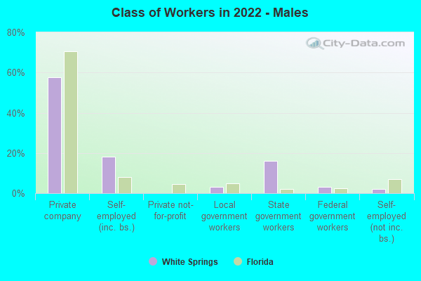 Class of Workers in 2022 - Males