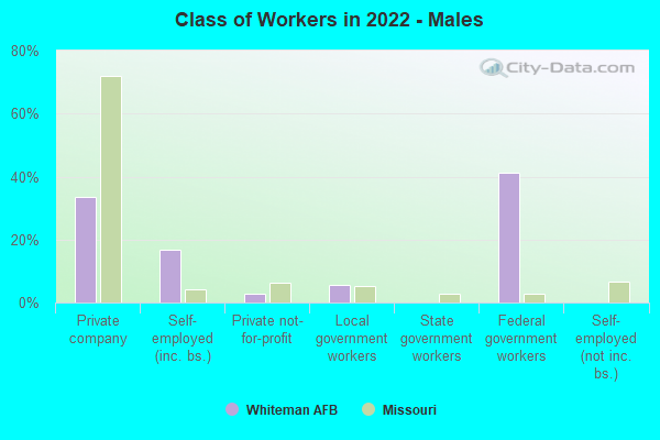 Class of Workers in 2022 - Males