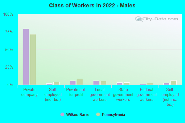 Class of Workers in 2022 - Males