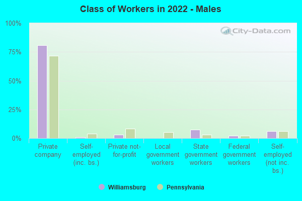 Class of Workers in 2022 - Males