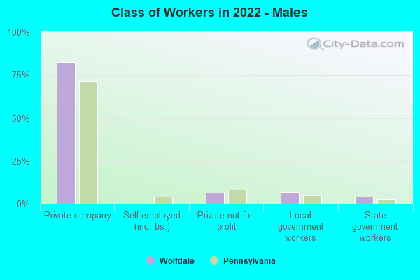 Class of Workers in 2022 - Males