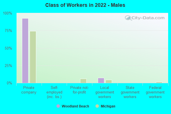 Class of Workers in 2022 - Males