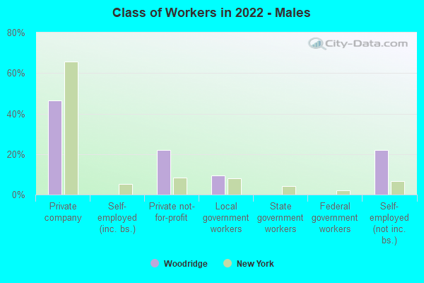 Class of Workers in 2022 - Males