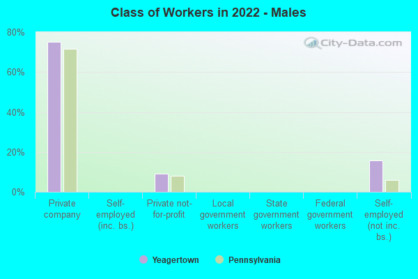 Class of Workers in 2022 - Males