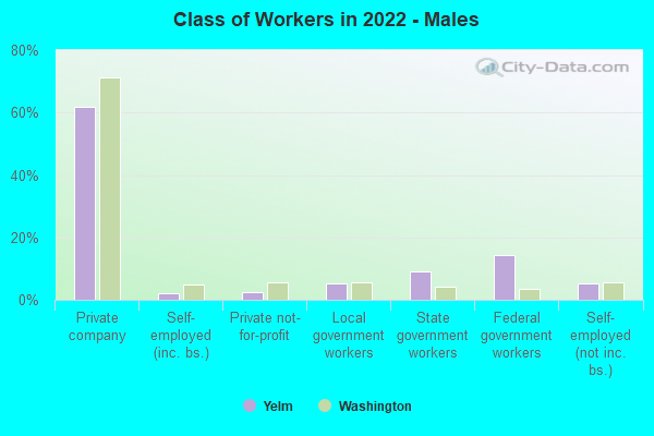 Class of Workers in 2022 - Males