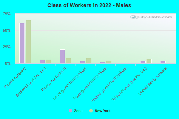 Class of Workers in 2022 - Males