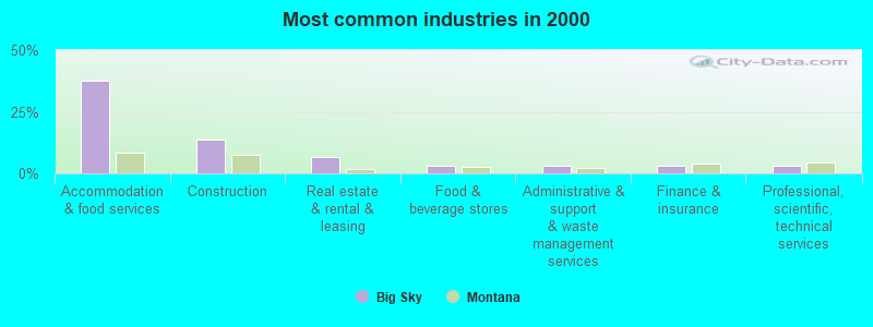 Most common industries in 2000