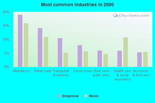 bridgeview house nursing home