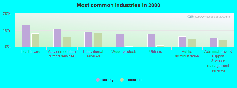 Most common industries in 2000