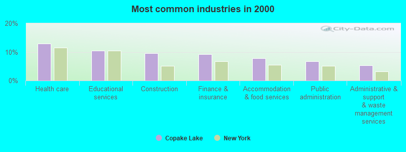 Most common industries in 2000