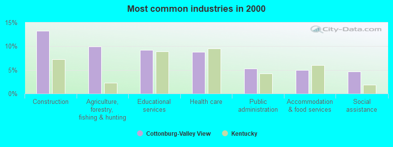 Most common industries in 2000