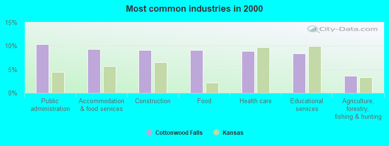 Most common industries in 2000