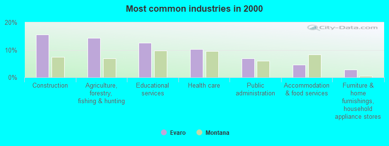 Most common industries in 2000