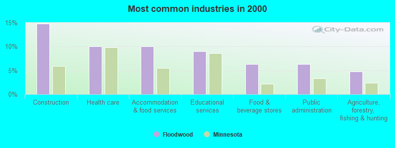 Floodwood Minnesota MN 55736 profile population maps 