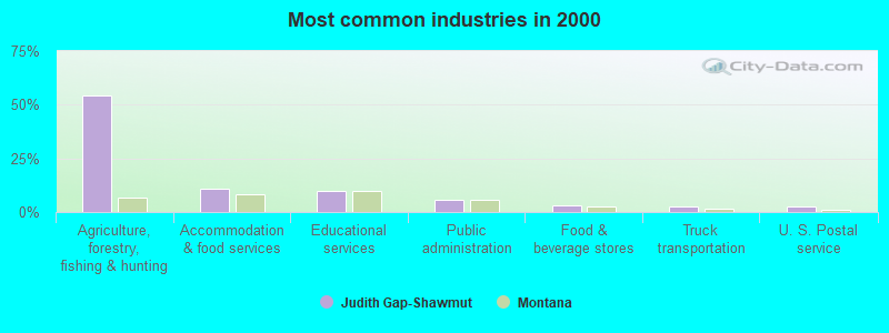 Most common industries 