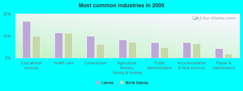 Most common industries in 2000