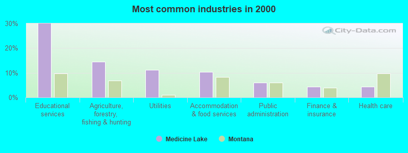 Most common industries in 2000