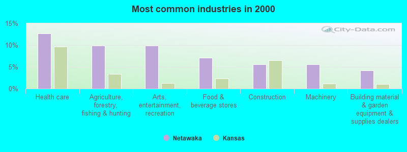 Most common industries in 2000