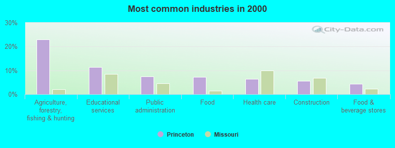 Most common industries in 2000