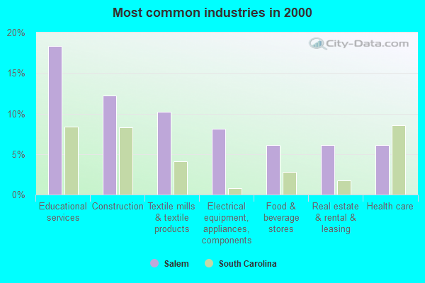 Salem South Carolina Sc 29676 Profile Population Maps Real Estate