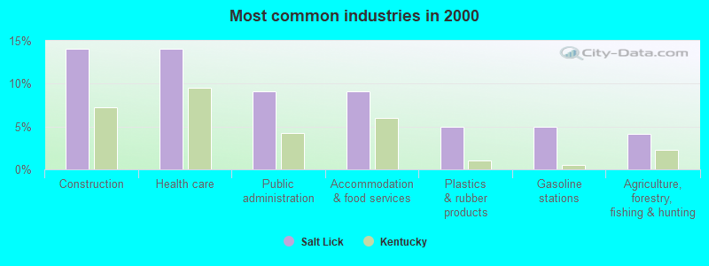 Most common industries in 2000