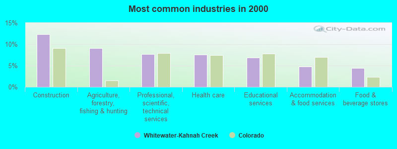 Most common industries in 2000