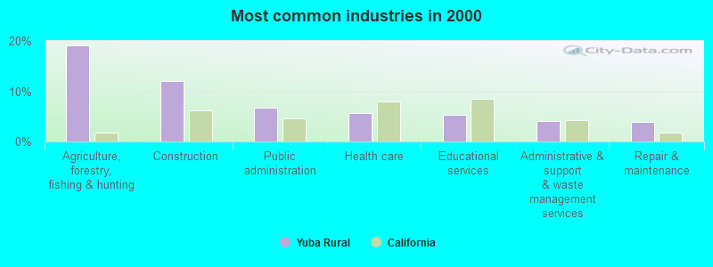 Most common industries in 2000