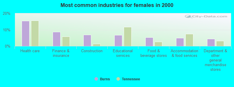 Most common industries for females in 2000