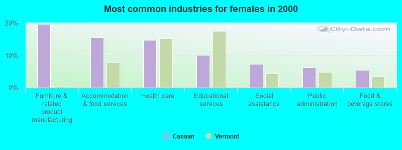 Most common industries for females in 2000