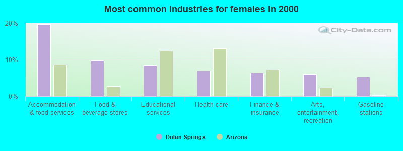 Most common industries for females in 2000