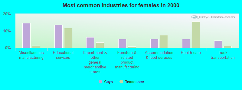 Most common industries for females in 2000