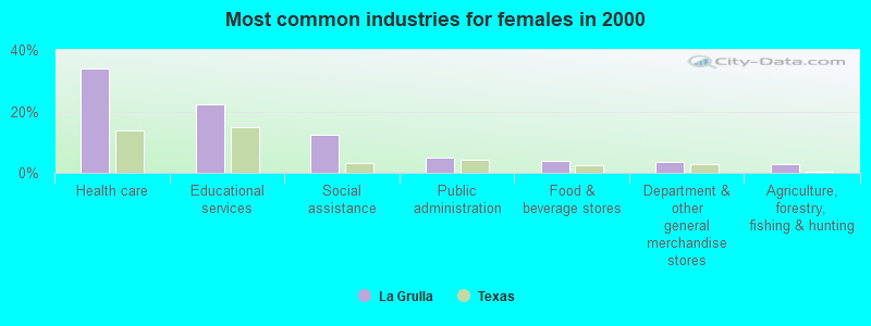 Most common industries for females in 2000