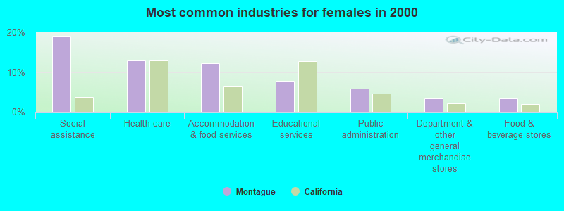 Most common industries for females in 2000