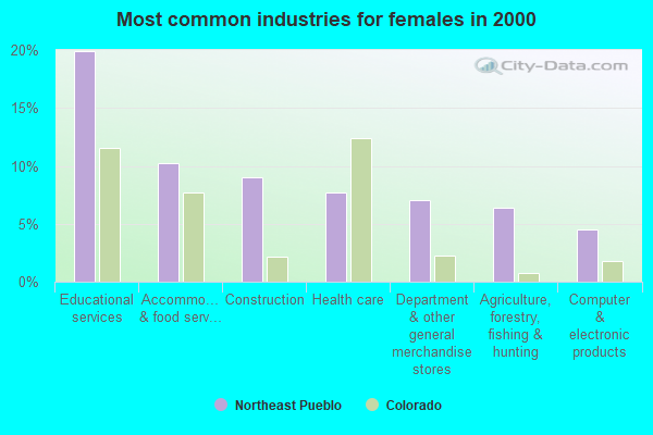 Northeast Pueblo, Colorado (CO 81025) profile population