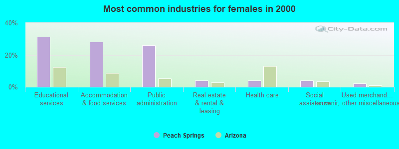 Most common industries for females in 2000