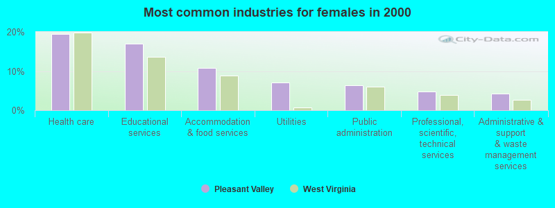 Most common industries for females in 2000