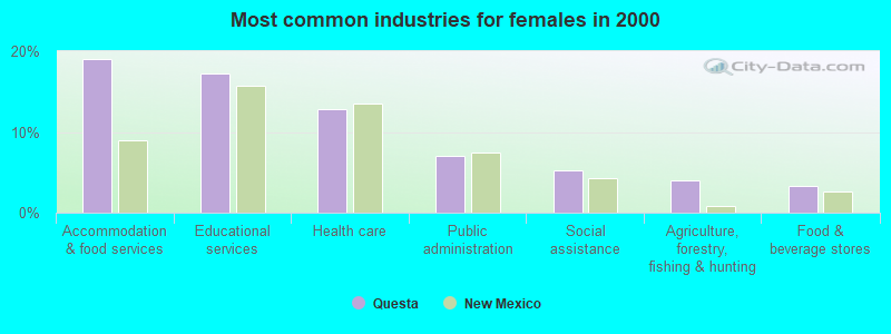 Most common industries for females in 2000