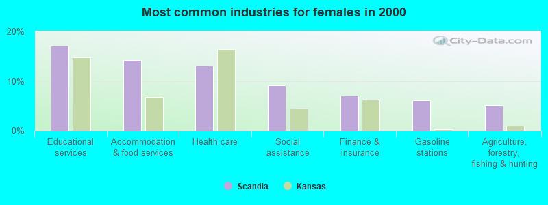 Most common industries for females in 2000