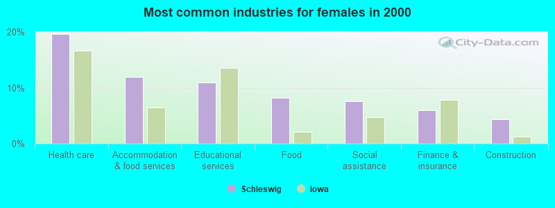 Most common industries for females in 2000