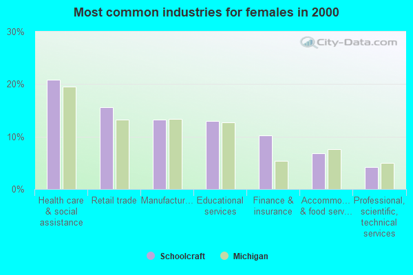 Schoolcraft, Michigan (MI 49087) profile: population, maps, real estate